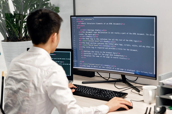 Enterprise Software Development