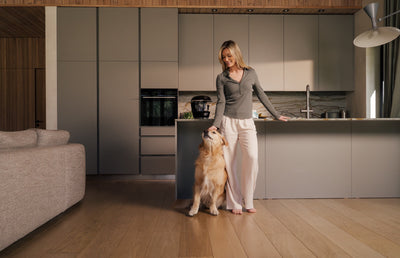 Artie Shopify Plus storefront for personalized dog meal subscriptions