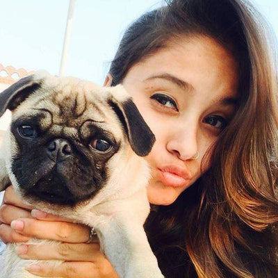 Snap of Xovak Studio’s Shopify specialists, showcasing steadfast client commitment and collaboration.