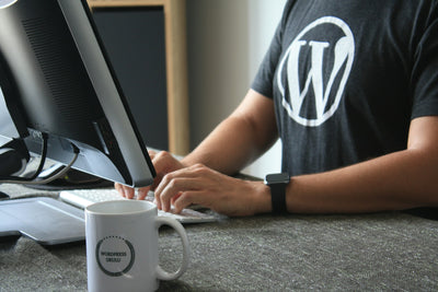Developer working on a WordPress website